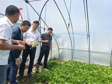 合肥百大集团赴肥东桥头集基地考察